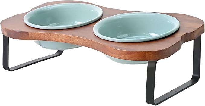 SPUNKYJUNKY Ceramic Elevated Tilted Dog Bowls Bone-Shaped Raised with 2 Height Iron Stand, 5.9'' Dog and Cat Food Water Bowls Set Non-Slip for Small Sized Breed - 13.5 OZ,Light Green