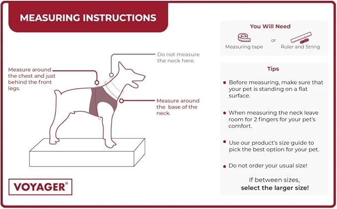 Best Pet Supplies Voyager Mesh Dog Breathable Harness Reflective Stitching, All Weather Adjustable for Walking Training, or Running - Heavy Duty & Durable, Harness Leash Set (Pink), S