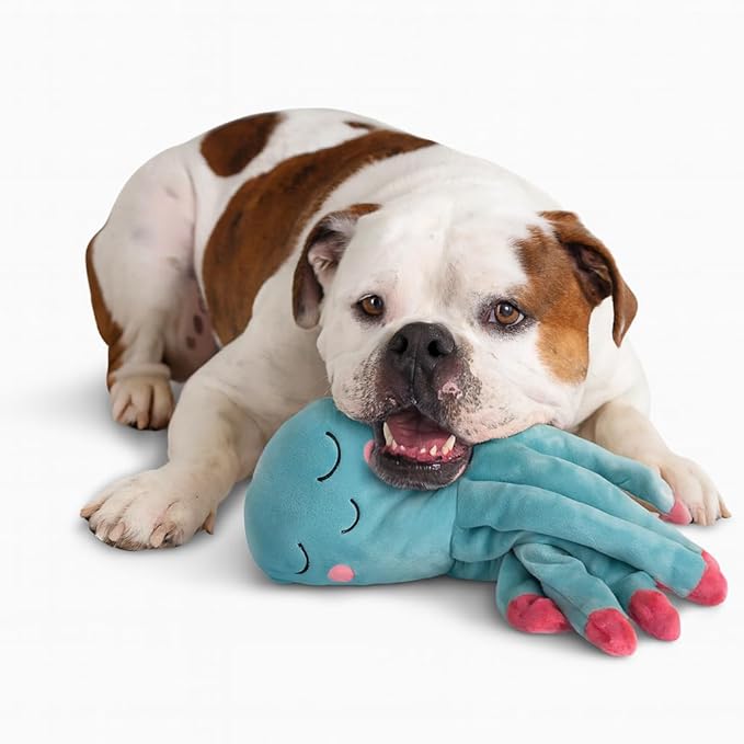 NANDOG My BFF Gus The Octopus Plush Dog Toy – Soft Squeaky Pet-Only Toys for Dogs & Cats – Durable, Cuddly & Adorable Pet Companions for Playtime, Fetch & Snuggles