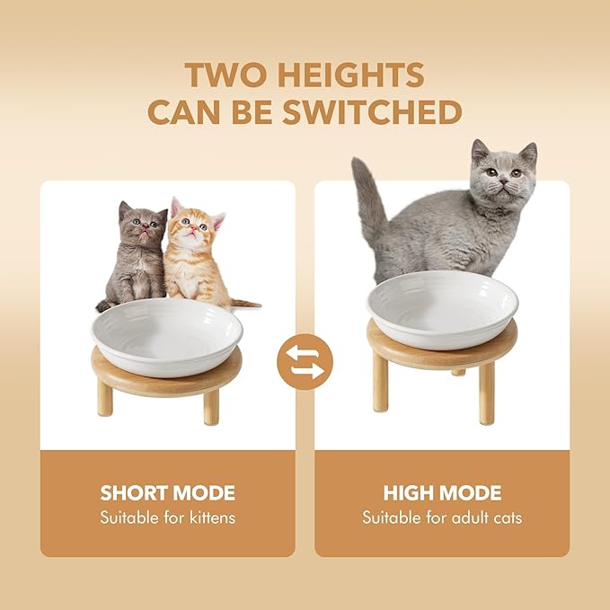 2 Sets of Elevated Ceramic Cat Dish, Wide Whisker Friendly Anti-Slip Food & Water Bowl with 2 Heights Adjustable Stands - Pet Bowl Set for Cats (2 Dishes +2 Stands, White)