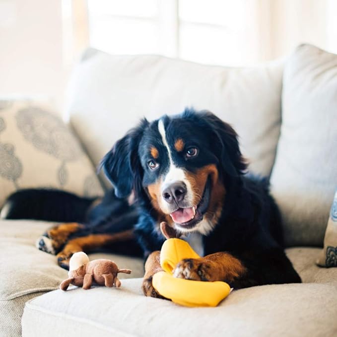 ZippyPaws Burrow- Interactive Dog & Puppy Toys for Boredom, Stimulating Pet Products to Keep them Busy, Hide & Seek Plush Puzzles, Squeaky Toy for Enrichment, For Small & Medium Dogs- Monkey 'n Banana