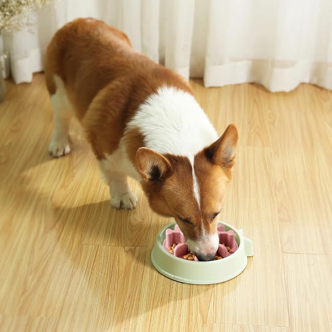Slow Feeder Dog Bowls Insert, Animire Soft Silicone Anti-Choking Puzzle Anti-Slip Slow Down Eating Feeder Insert, Compatible with Regular Elevated Dog Bowls