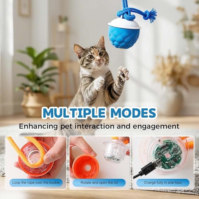 XieJY Interactive Dog Toys - 2026 Upgraded Motion Activated Automatic Rolling Ball Toys for Small/Medium/Large Dogs Balls for Boredom to Keep Them Busy with USB Rechargeable (Blue)