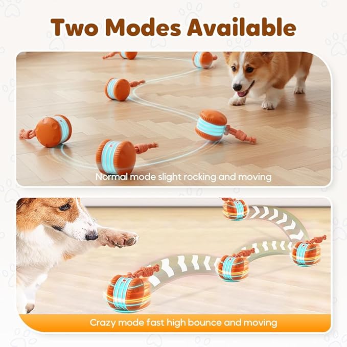 ANYSENT Interactive Dog Toy,2026 New Automatic Rolling Ball with Rope for Cat, Durable Dogs Rope Toy for Chewing and Playing, Dogs Ball Toy for Puppy Cats (Blue/1pcs)