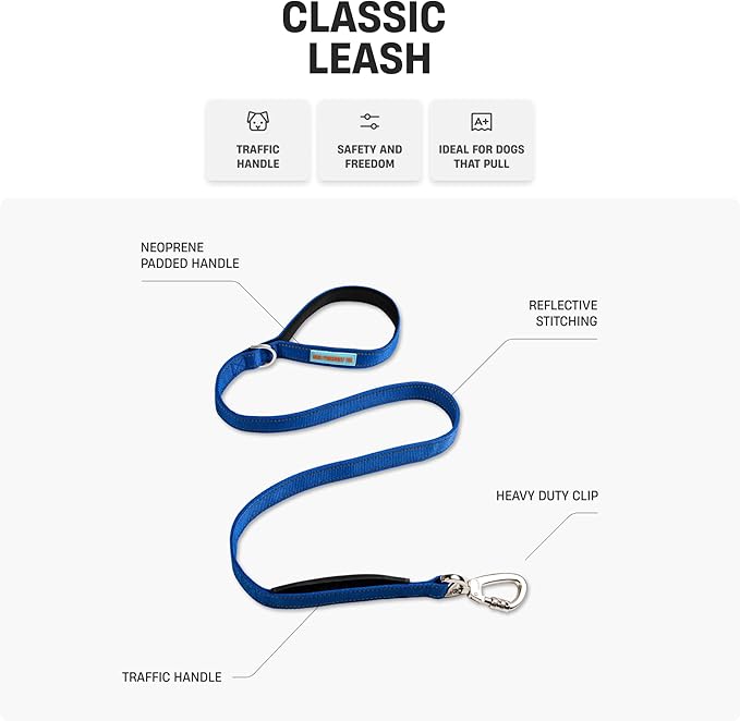 DF Co. Classic Dog Leash | Strain-Free, Shock Resistant, Prevents Jolts, Maintain Control | Durable Waterproof Material with Heavy Duty Clip & D-Ring (Green Camo, Small)