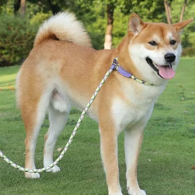 Slip Lead Rope Dog Leash Heavy Duty for Training, Nylon Strong Slip Leads for Dogs 6 Ft X 1/2 Inch,Comfortable Training Leash for Medium Large Dogs
