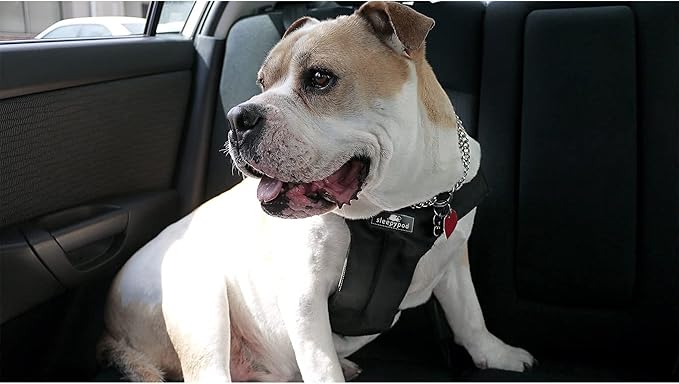 Clickit Sport Plus - Crash-Tested and Safety Certified Car Seat Belt Harness for Dogs (Extra Large, Jet Black)