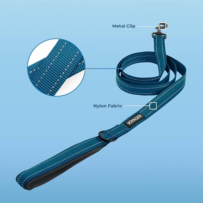 Best Pet Supplies Voyager Reflective Dog Leash or Collar with Neoprene Handle, for Small, Medium, and Large Breed Puppies, Cute and Heavy Duty for Walking, Running and Training - Blue (Leash), L
