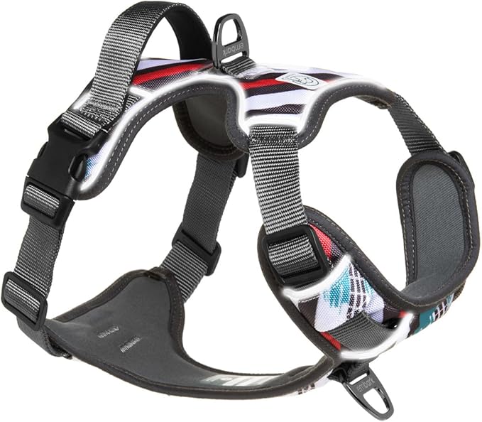 Embark Adventure Dog Harness, No-Pull Reflective Trim Dog Harness for Small, Medium & Large Dogs - Heavy Duty Oxford, 2 Leash Clips & Gel Lined Handle. Soft & Padded Puppy Dog Vest for Any Breed