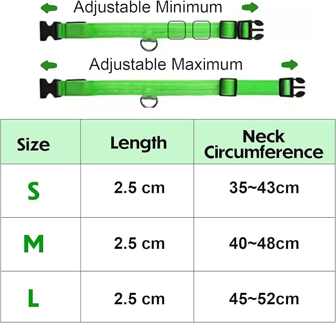 Light Up Dog Collar – Reflective, Adjustable, Rechargeable Electronic Glow Pet Collars – Bright, Comfortable, High Visibility LED Dog Collar for Night Safety, Outdoor Walk, Flashing Fun, Green, Small