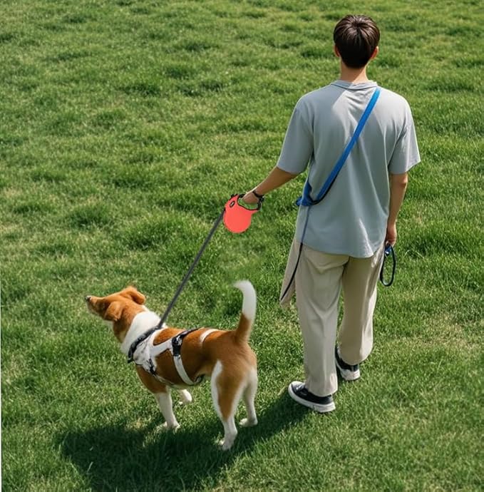 Retractable Dog Leash Hands-Free Adjustable Length 13ft with Safety Lock Durable Nylon Belt for Small Medium Large Dogs Easy Walk Training Portable Dog Leash Red S