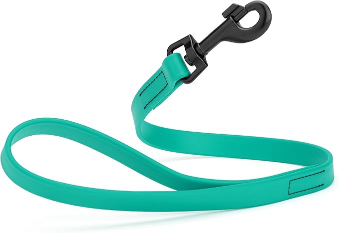 Dogline Biothane Waterproof Dog Leash Strong Coated Nylon Webbing with Black Hardware Odor-Proof Easy to Clean High Performance for Small or Large Dogs Made in USA 2 ft Lead, Teal
