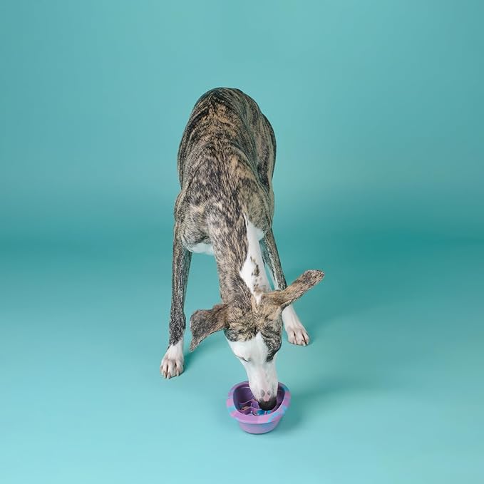 CHEWFFON Interactive Dog&Cat Lick Mat Bowls, BPA-Free Silicone Dog Slow Feeder with Suction Cups, Non Slip Food Bowl for Dogs and Cats, Reduces Boredom and Anxiety, Dishwasher Safe, Blueberry Small