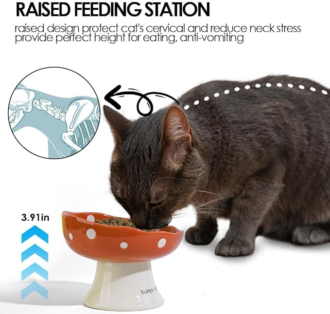 Ceramic Elevated Cat Bowls, Tilted Raised Pet Dish Anti Vomit Kitten Bowl for Indoor Cats, Whisker Friendly Pet Food and Water Bowl for Kitten, Cat, Puppies, Dishwasher Safe (Red+Orange)