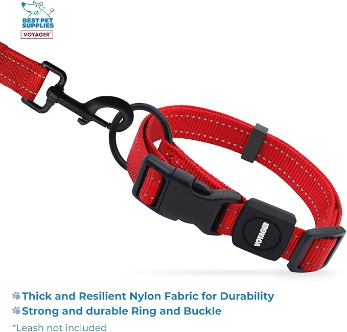 Best Pet Supplies Voyager Reflective Dog Leash or Collar with Neoprene Handle, for Small, Medium, and Large Breed Puppies, Cute and Heavy Duty for Walking, Running and Training - Red, M