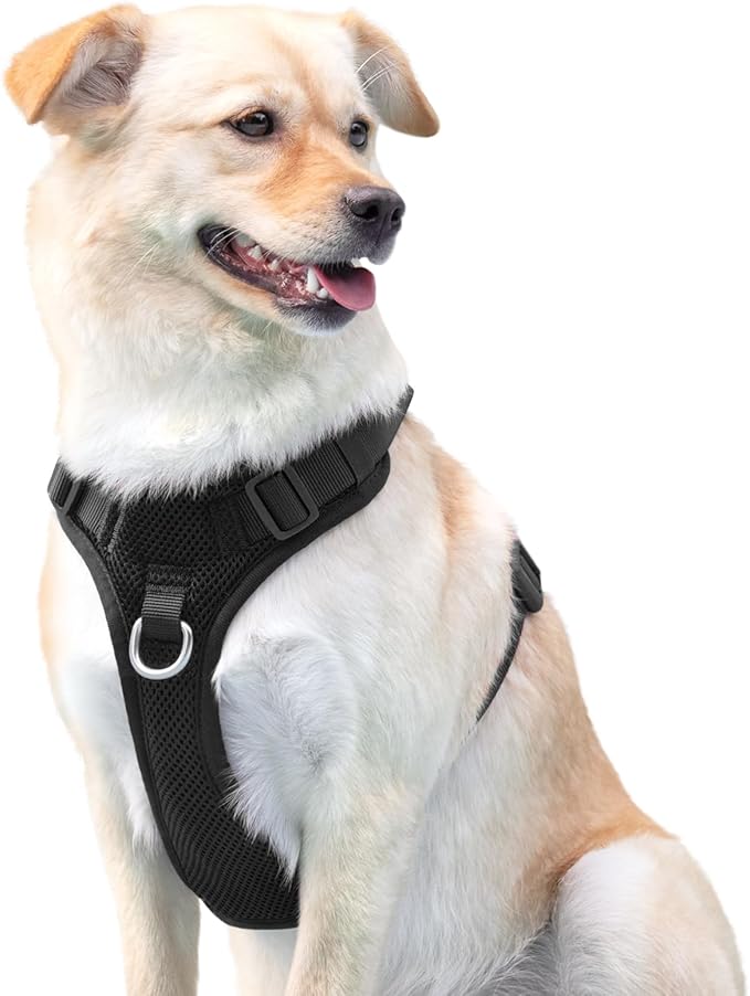 No Pull Dog Harness for Small Medium Large Dogs - Adjustable 2 Layer Mesh Dog Vest with Dual Clip, Escape Proof, Quick Release, Lightweight Breathable Mesh for Walking Hiking (Black,S)