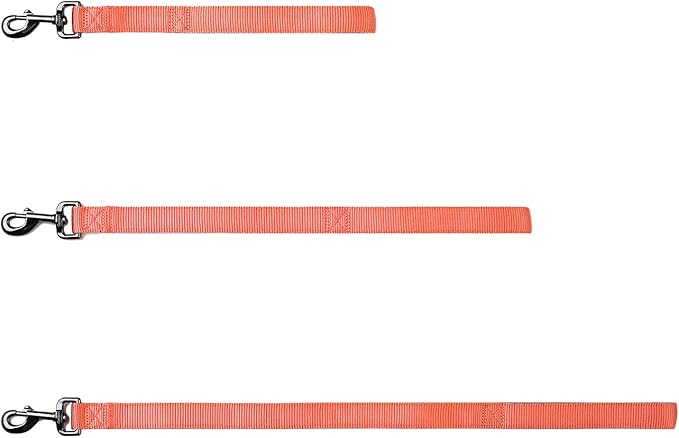 Premium 24 Inches Nylon Short Dog Leash with Heavy Duty Clasp and Soft Padded Handle for Large Medium Breed Dogs Daily Use Jogging,Walking,Training etc...(24 Inches, Living Coral)