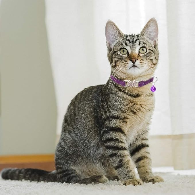 BINGPET Cat Collar Breakaway with Bell, Pack of 2 Heart Bling Collar Safety with Soft Velvet Adjustable for Kittens
