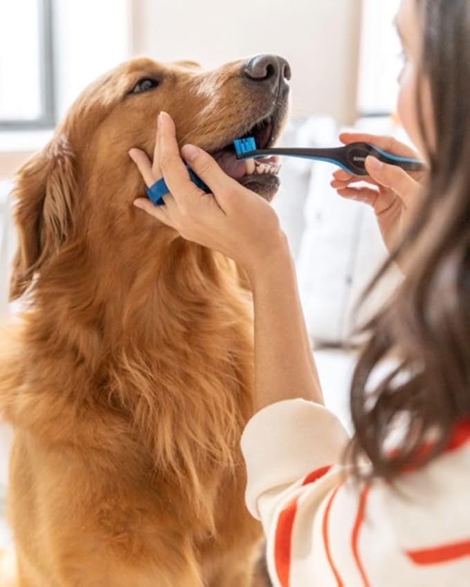 Brushmate Dual-Size Angled Soft Brush Heads Toothbrush for Pet Puppies, Dogs, and Cats - Ergonomic Handle, Long Neck, Special Rubber Stimulators - Dental Care Tool for Healthy Oral Hygiene