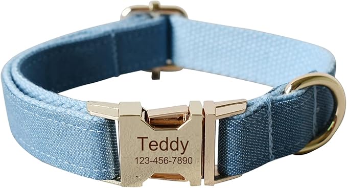 Personalized Dog Collars for Puppy Small Medium Large Pets with Engraved Name and Phone Number (XL, Blue)