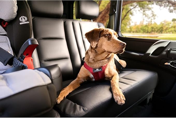 Clickit Sport Plus - Crash-Tested and Safety Certified Car Seat Belt Harness for Dogs (Extra Large, Jet Black)