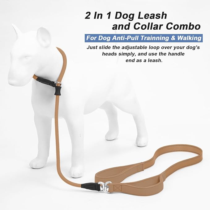 Slip Lead Dog Leash with Double Handle, Reflective Dog Training Leash [360° Swivel Anti-Tangle] Heavy Duty Nylon Slip Lead and Collar for Medium Large Small Dog No Pull Walk 5FT Khaki