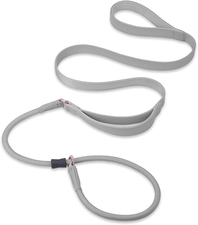Slip Lead Dog Leash, Double Handle, Soft Leather, Heavy Duty Nylon, No Pull Walking, Grey, 5ft