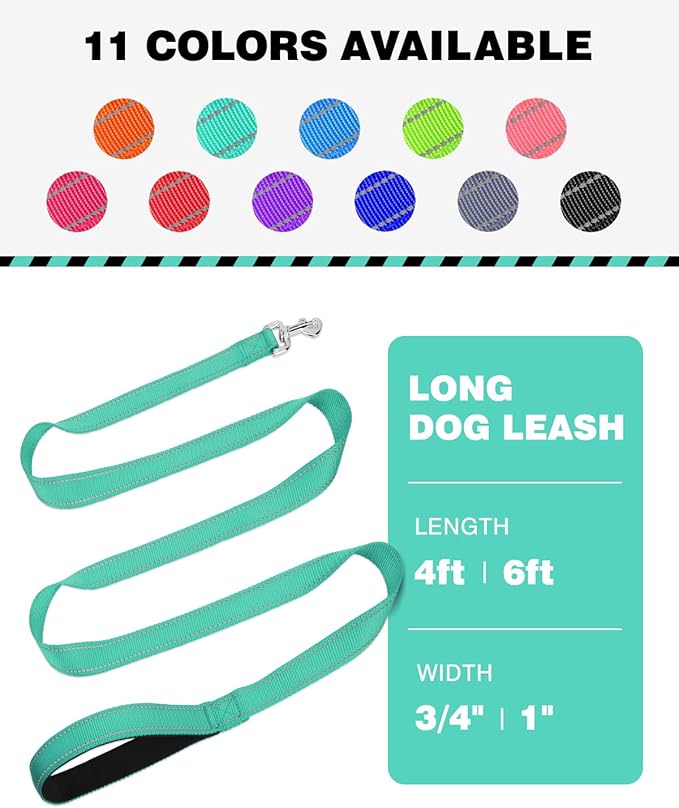Erbine 6FT Reflective Nylon Dog Leash with Soft Padded Handle for Walking, Running and Training, Supports Small Medium and Large Dogs (Turquoise, 3/4Inch Wide)