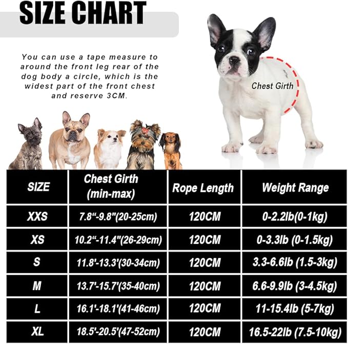 FEimaX Dog Harness and Leash Set for Walking, Soft Mesh Adjustable Easy Control Lightweight Cat Vest Harnesses with Reflective Strips, Escape Proof Small Dogs Cats Vests