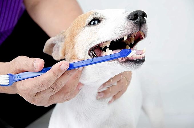 Double-Sided Dog Toothbrush Set – 2-Pack Cat & Dog Toothbrushes with Soft Bristles – Long Handle & Gentle Cleaning Design for Pet Dental Care, Plaque & Tartar Removal at Home
