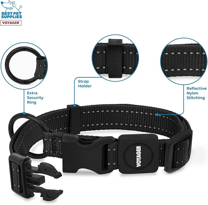 Best Pet Supplies Voyager Reflective Dog Leash or Collar with Neoprene Handle, for Small, Medium, and Large Breed Puppies, Cute and Heavy Duty for Walking, Running and Training - Black, M