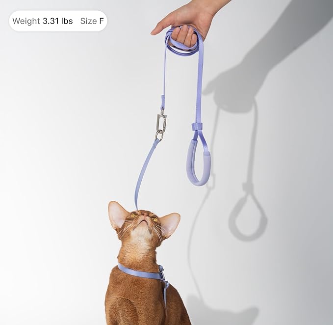 Cat Harness and Leash Set, Lightweight Escape Proof Cat Harness Leash with Padded Handle, Adjustable Cat Leash and Harness for Kitten Small Large Cats Walking Training (Space Gray, M)