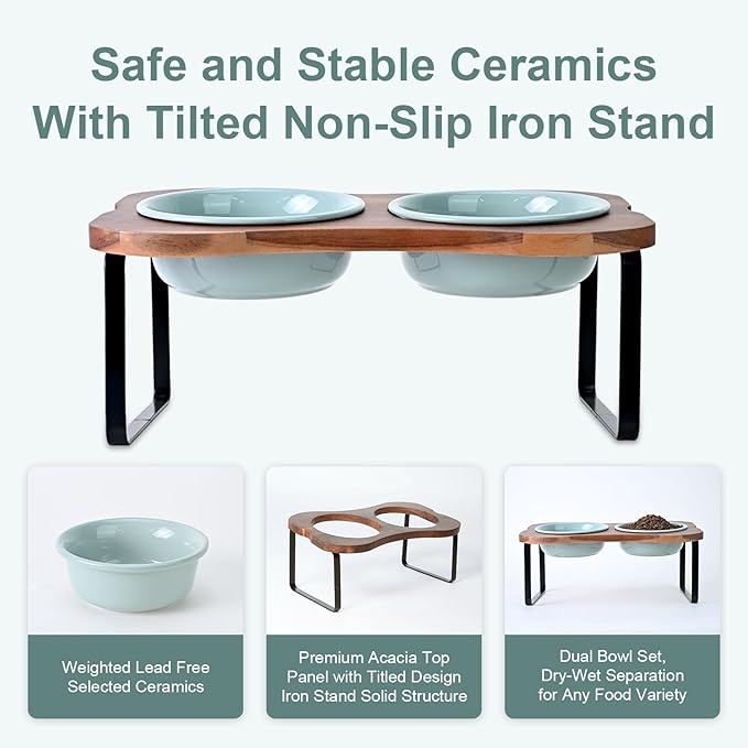 SPUNKYJUNKY Ceramic Elevated Tilted Dog Bowls Bone-Shaped Raised with 2 Height Iron Stand, 6.9'' Dog and Cat Food Water Bowls Set Non-Slip for Small Medium Sized Breed - 20 OZ,Light Green