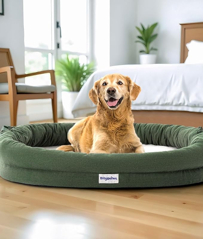Orthopedic Dog Bed for Large Dogs, Pet Sofa Bed with Egg Crate Foam, 4-Sided Bolster, Removable Washable Cover & Anti-Slip Bottom, XX-Large Calliste Green