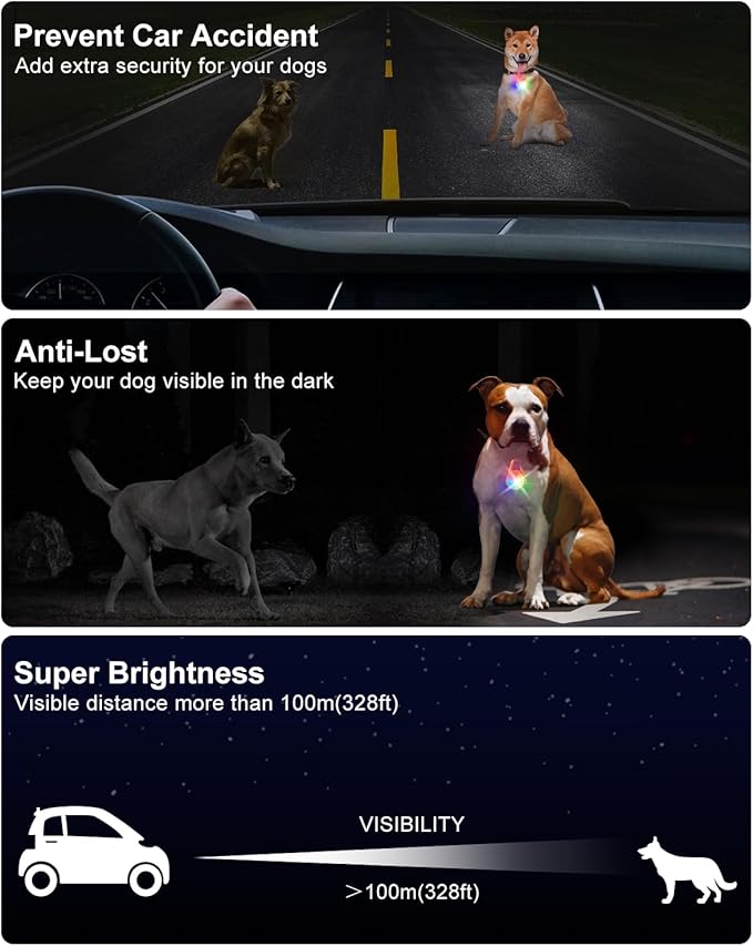 2 Pack Dog Collar Light, Rechargeable Dog Lights for Night Walking Clip On, 4 Modes Waterproof LED Collar for Nighttime Running, Cycling, Pet Camping Essentials (Orange)