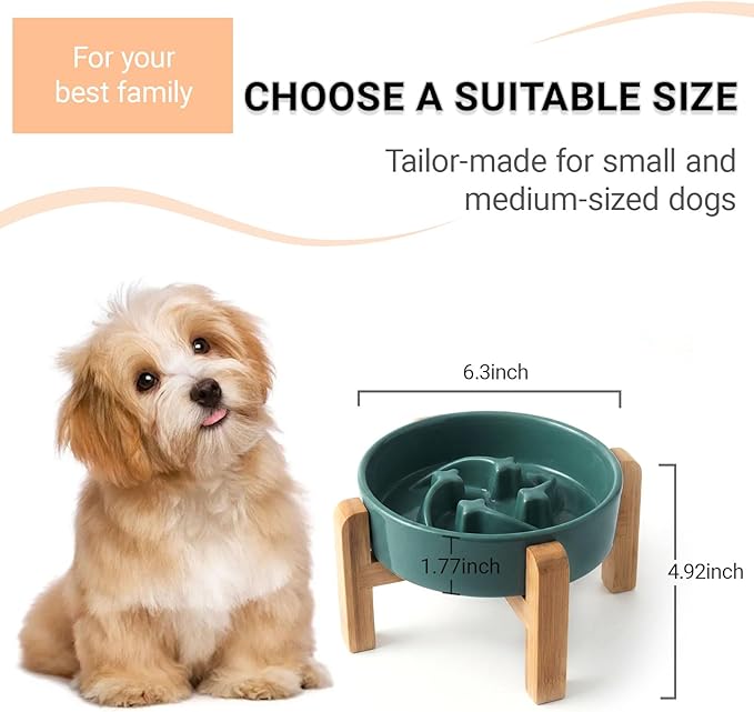Ceramic Slow Feeder/Dog Bowl for Small Medium Dogs,Elevated/Raised Slow Feeding Dog Food Water Dish Heavy Weighted,Puzzle Eating Bowl Modern Maze (Stars Mark-Forest Green, 8.26n)