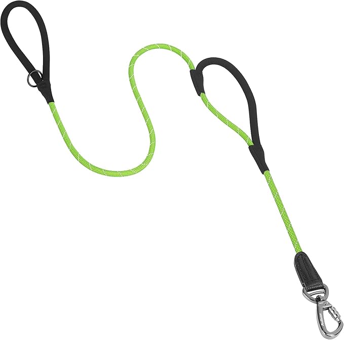 PetBonus Double Handle Rope Dog Leash, 6FT Heavy Duty Training Lead with Lockable Hook and 2 Comfortable Padded Handles, Reflective Walking Nylon Leash for Small Medium Dogs (11-55 lbs, Green)