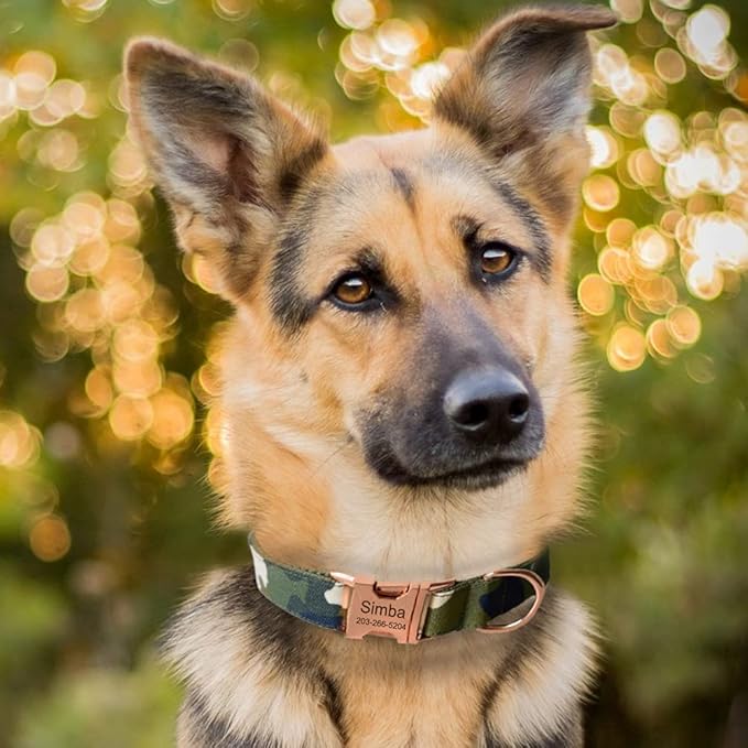 Personalized Dog Collars for Puppy Small Medium Large Pets with Engraved Name and Phone Number (L, Camo)
