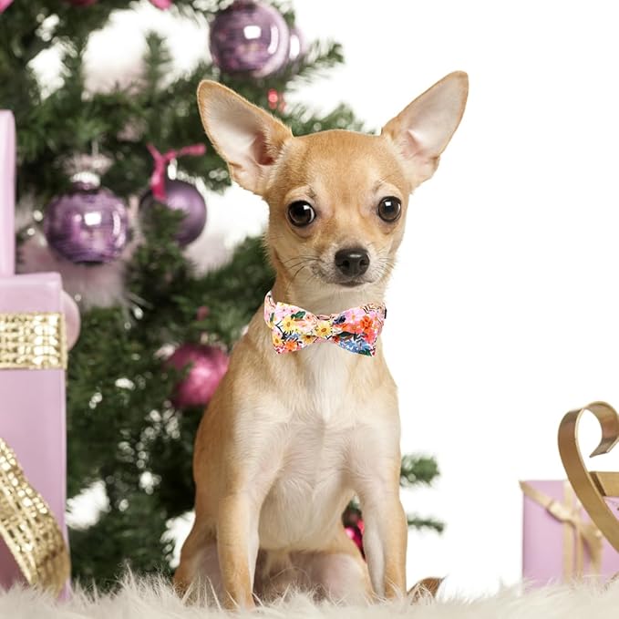 Unique style paws Cartoon Dog Collar with Bow Spring Summer Puppy Collar with Colorful Flower for Small Medium Large Boys Girls Dogs