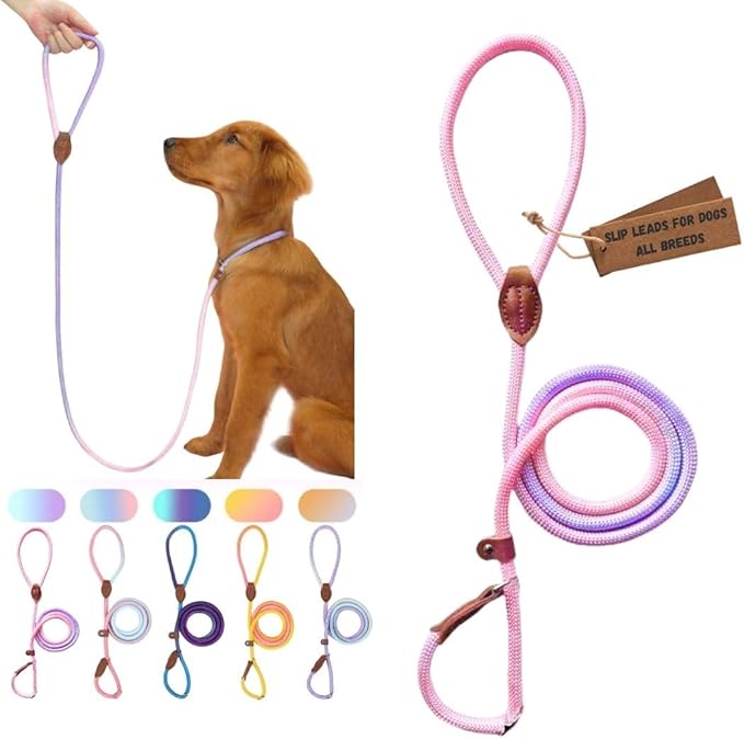 Dog Leash - Slip Leads for Dogs, 5 FT Pet Training Leash, Strong Heavy Duty Braided No Pull Loop Rope Training Lead Leashes for Small, Medium, Large Breeds, Pink & Purple