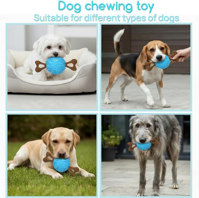 Indestructible Dog Chew Toy, Durable Chew Toy for Small and Medium Dogs, Interactive Bone Toy to Keep Dogs Busy, Teeth Cleaning Toy, Multifunctional Dog Toy for Treats/Cleaning/Chewin