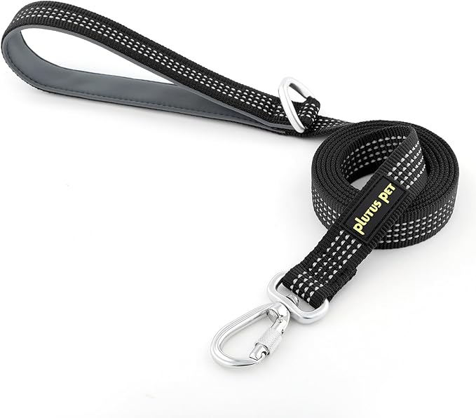 Plutus Pet Heavy Duty Dog Leash with Lockable Aluminum Carabiner, 4/6 Feet Long, Double-Sided Reflective Nylon, Padded Handle, for Puppy, Small, Medium and Large Dogs (Black, 4/5" x 6')