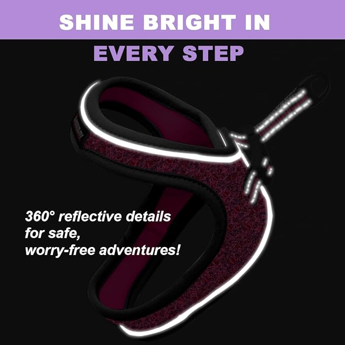 Cat Harness and Leash Set,Escape Proof Kitten Harness,Step in Adjustable Soft Lightweight,Easy Control,Reflective Strips Comfortable for Walking Travel(Pink/Black,S)