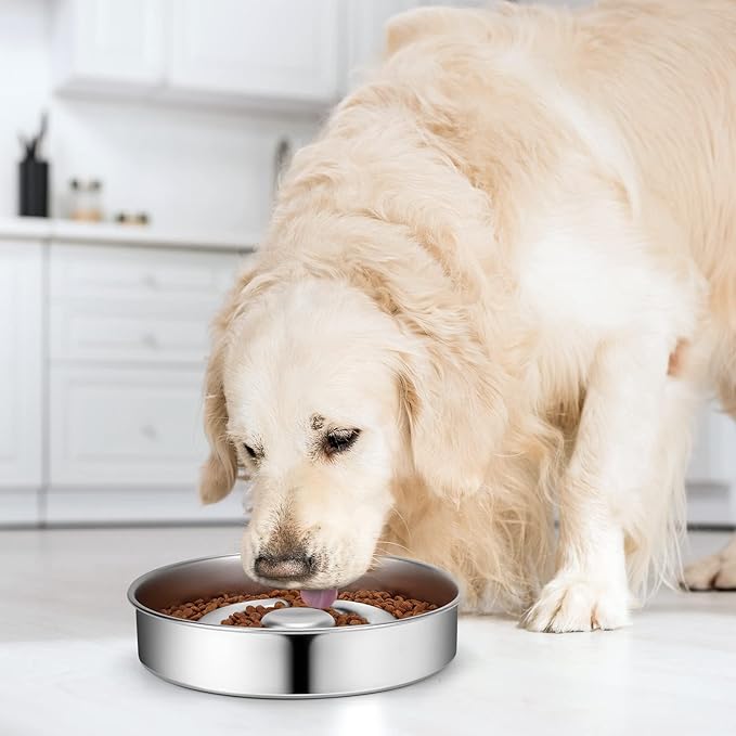 Stainless Steel Non Slip Slow Feeder Dog Bowl, 4 Cups Metal Dog Food Bowls for Medium and Large Dogs, Fun Bloat Stop Pet Bowl Dogs Water Bowl for Fast Eaters, Slows Down Pets Eating