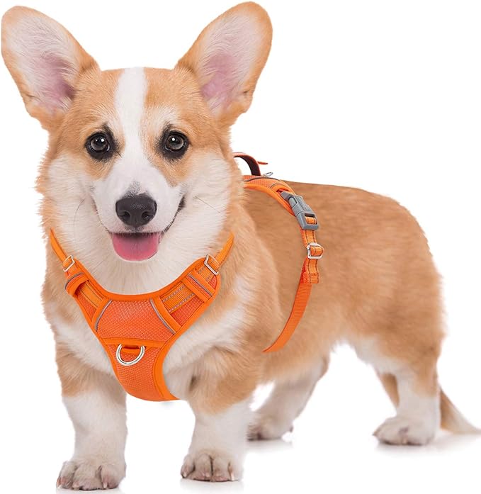 BARKBAY No Pull Dog Harness Large Reflective Dog Harness with Front Clip and Easy Control Handle for Walking Training Running with ID tag Pocket(Orange,M)