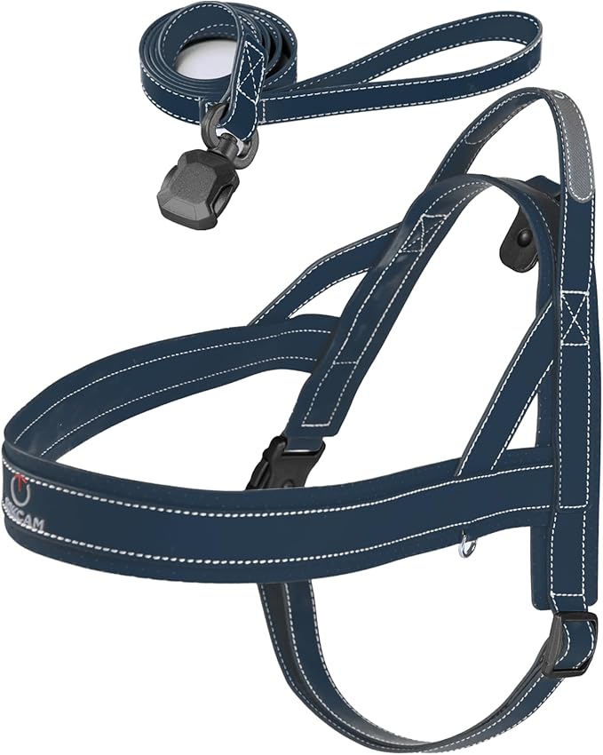 Magnetic Quick-Release Buckle Dog Harness and Leash Set, Easy Walk Faux Leather Puppy Harness, Easy On & Off Dog Vest with Handle for Medium, Large Girl Boy Dogs for Hiking Training, Blue, XL