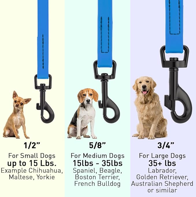 Dogline Biothane Waterproof Dog Leash 2/4/6 Ft Strong Coated Nylon Webbing with Black Hardware Odor-Proof Easy to Clean High Performance for Small or Large Dogs Made in USA, Cerulean Blue