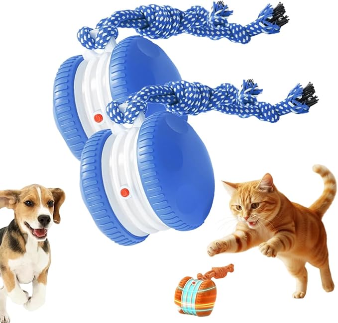 ANYSENT Interactive Dog Toy,2026 New Automatic Rolling Ball with Rope for Cat, Durable Dogs Rope Toy for Chewing and Playing, Dogs Ball Toy for Puppy Cats (Blue/2pcs)