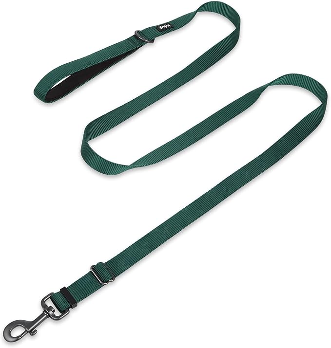 Hyhug Nylon Adjustable 4-6ft Dog Leash with Soft Neoprene Padded Handle, Durable Heavy Duty Leash with Easy-to-Use Bolt Snap, Ideal for Jogging Outdoor