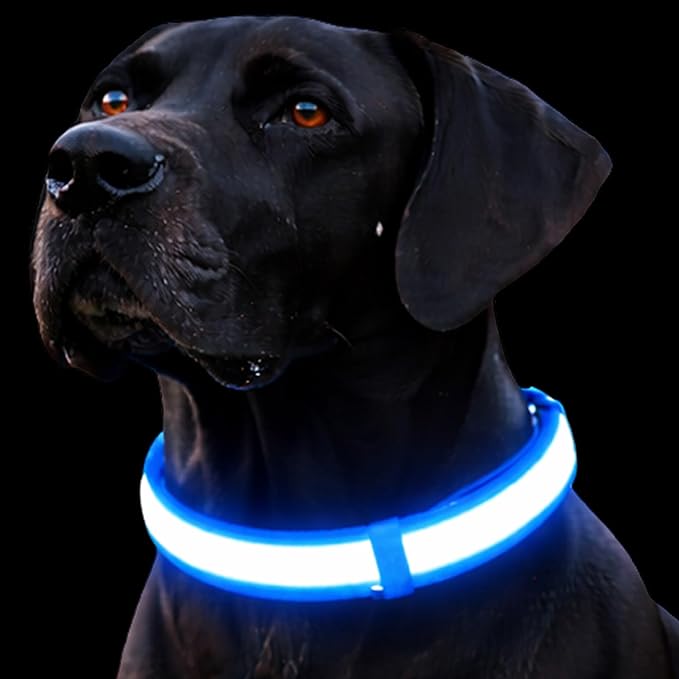 Light Up Dog Collar – Reflective, Adjustable & Rechargeable Electronic Glow Pet Collars – Bright, Comfortable, High Visibility LED Dog Collar for Night Safety, Outdoor Walk & Flashing Fun, Blue, Large